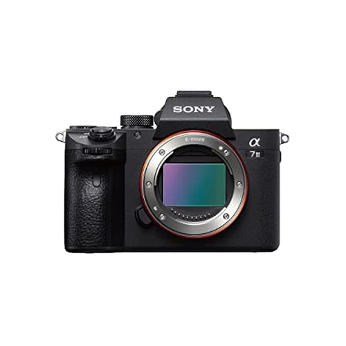Sony Alpha ILCE-7M3 Full-Frame 24.2MP Mirrorless Digital SLR Camera Body (4K Full Frame, Real-Time Eye Auto Focus, 4K Vlogging Camera, Tiltable LCD, Low Light Camera) - Black